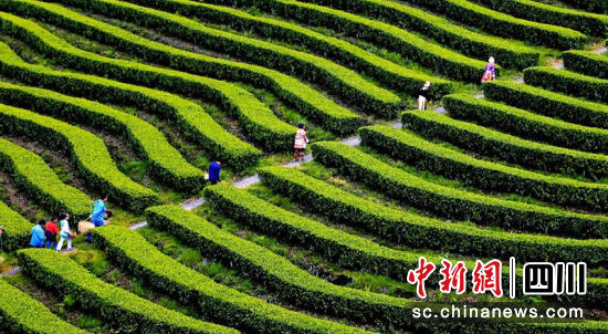 1678444000.jpg 微信图片_20230310182507.jpg