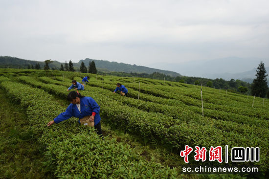 1678444018.jpg 微信图片_20230310182519.jpg