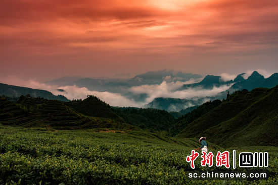 1678444026.jpg 微信图片_20230310182521.jpg
